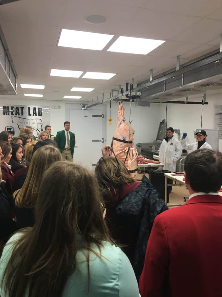 A group of students watches a demonstration in a meat lab, where instructors in white coats stand near a large side of beef hanging from a rail. The room is well-lit with stainless steel equipment visible.
