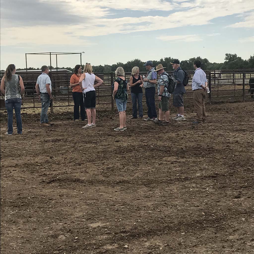 A group of people stands talking in a dirt corral area with metal fencing, some wearing hats and casual clothes, under a cloudy sky on a rural property.