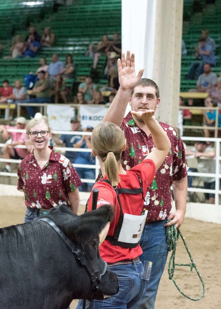 A young woman in a red shirt high-fives a man in a festive shirt while holding a black cow; another woman in a matching shirt stands nearby, smiling, in an indoor arena with a seated audience.