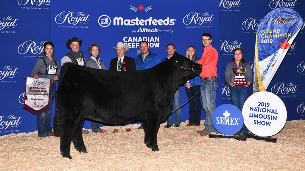 A group of people stand behind a black Limousin cow at the 2019 National Limousin Show. Banners, trophies, and signs display the event and Grand Champion title in a decorated indoor arena.