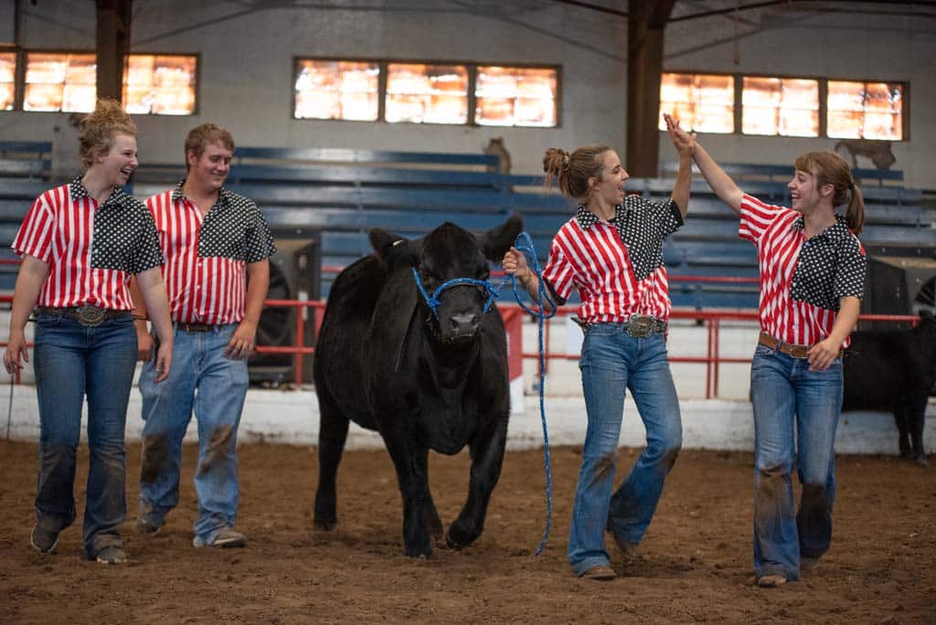 Four people in matching red, white, and black shirts walk with a black cow inside an arena. Two of them are high-fiving while smiling; the others walk beside them. The stands in the background are mostly empty.