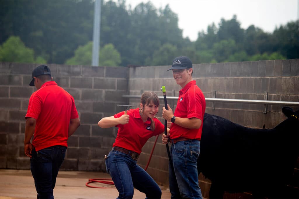 Three people in red shirts and jeans stand near a black cow and a concrete wall. Two of them face the camera smiling and posing, while one faces away. Trees are visible in the background.