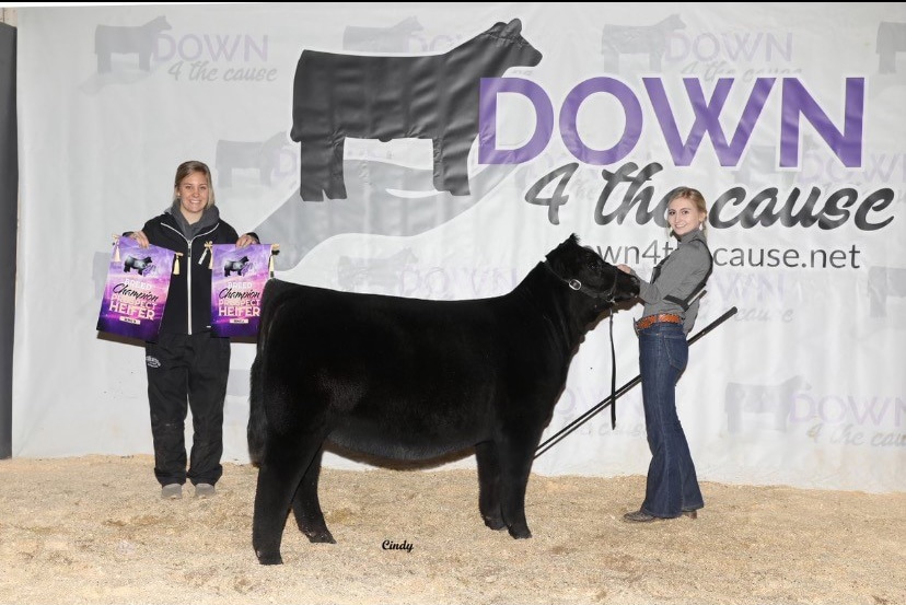 Two young women stand with a black show calf in front of a Down 4 the Cause banner. One woman holds the calf’s halter; the other holds two Champion Heifer award signs. The scene is set on tan sawdust.
