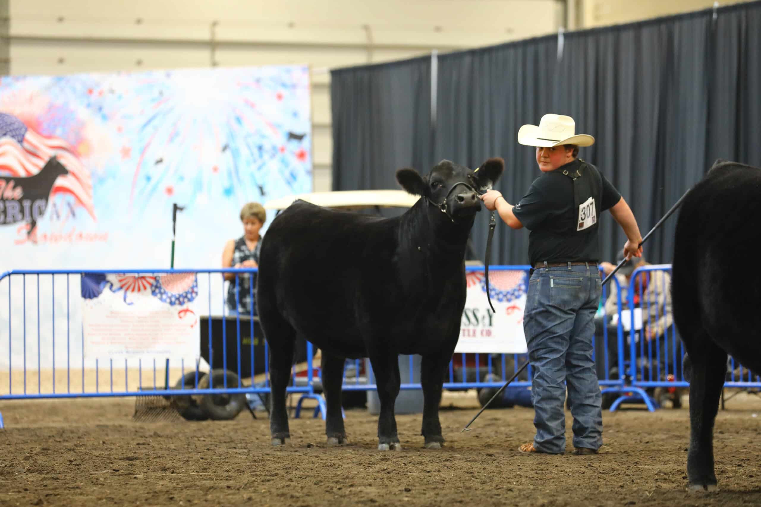 A person in a cowboy hat holds a black cow by a halter at an indoor livestock show, standing on dirt. Blue barriers and patriotic-themed decorations are visible in the background.