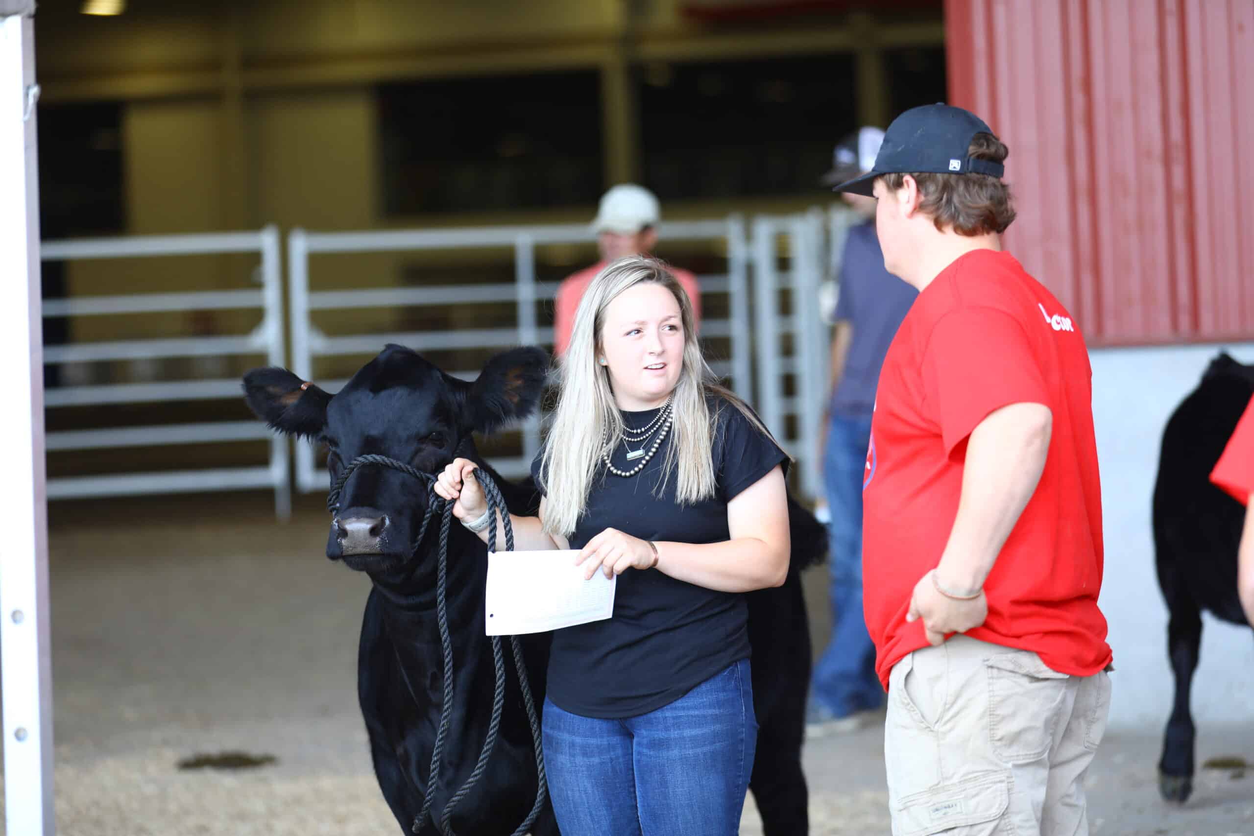 A young woman holding a black cow by a rope stands outside a barn, talking to a man in a red shirt and cap. She holds a sheet of paper, and other people and cattle are visible in the background.