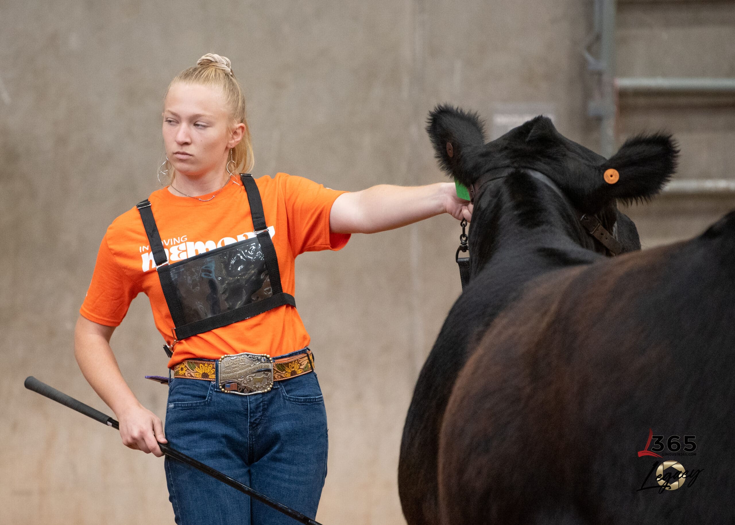 Cover of the August 1976 Limousin Journal magazine, featuring a large banner reading Limousin: The Carcass Breed under a blue sky, with the text Iowa State Fair - spirit 76 of Iowa in orange.