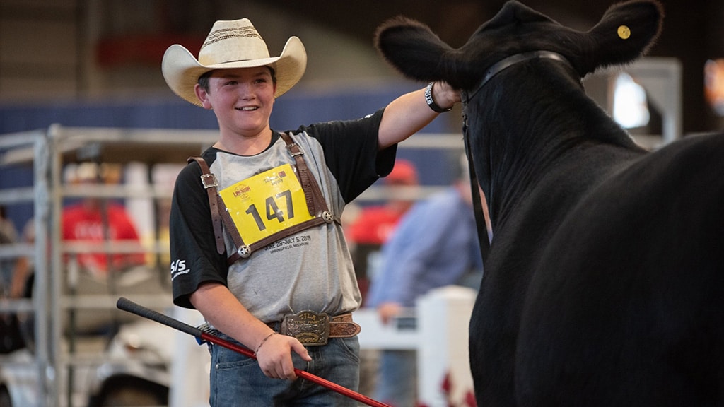 A smiling young person in a cowboy hat and numbered badge pets a black cow at a livestock show, holding a stick in one hand. Indoor arena setting with blurred background.