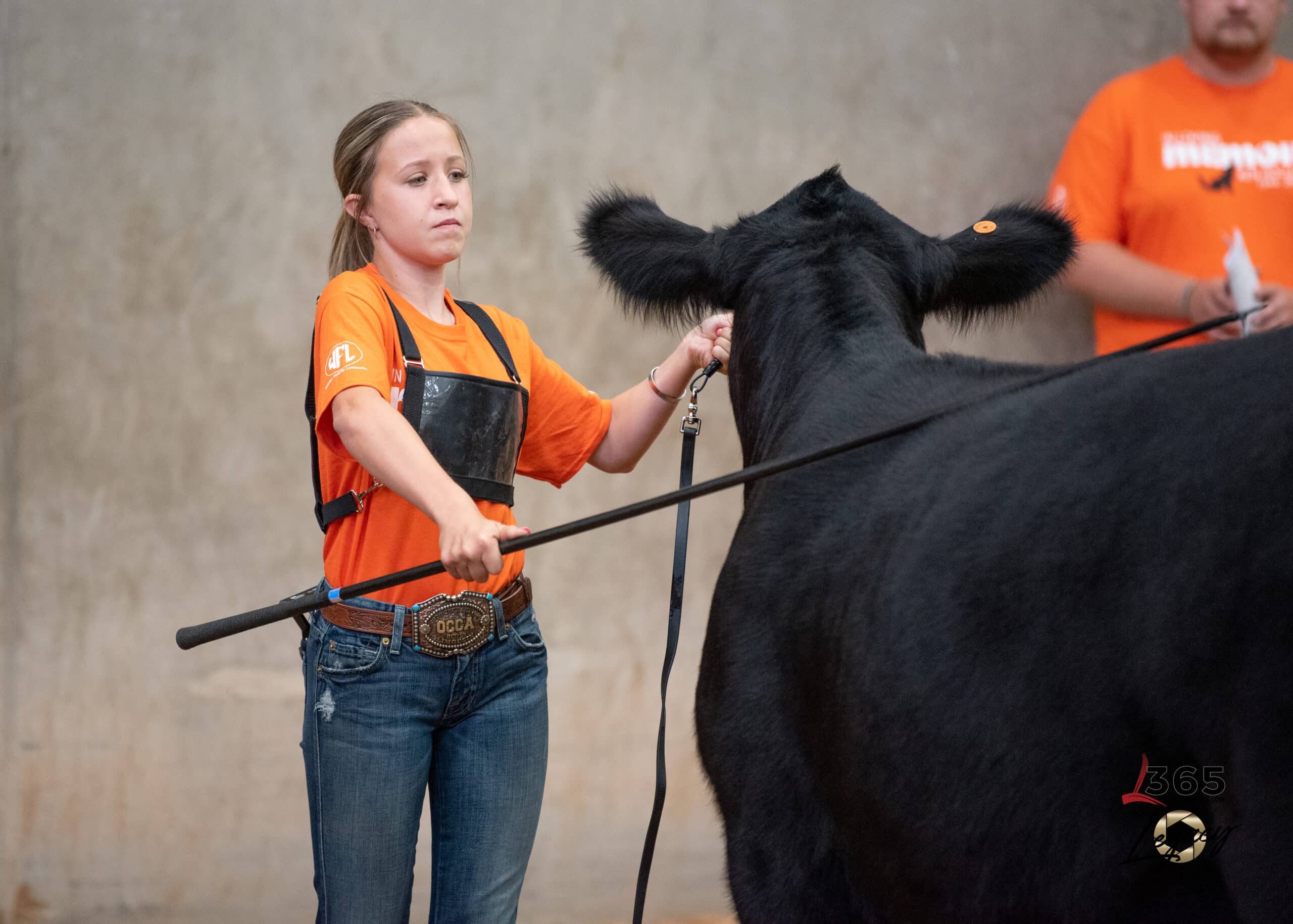A livestock show arena with people in cowboy hats leading a steer. Spectators fill the stands. A banner reads “Governor’s Charity Steer Show.” Text on screen: “Owen Powell - ‘Chuck’, Josh and Kristi Rasmusson,” with McDonald’s logo.