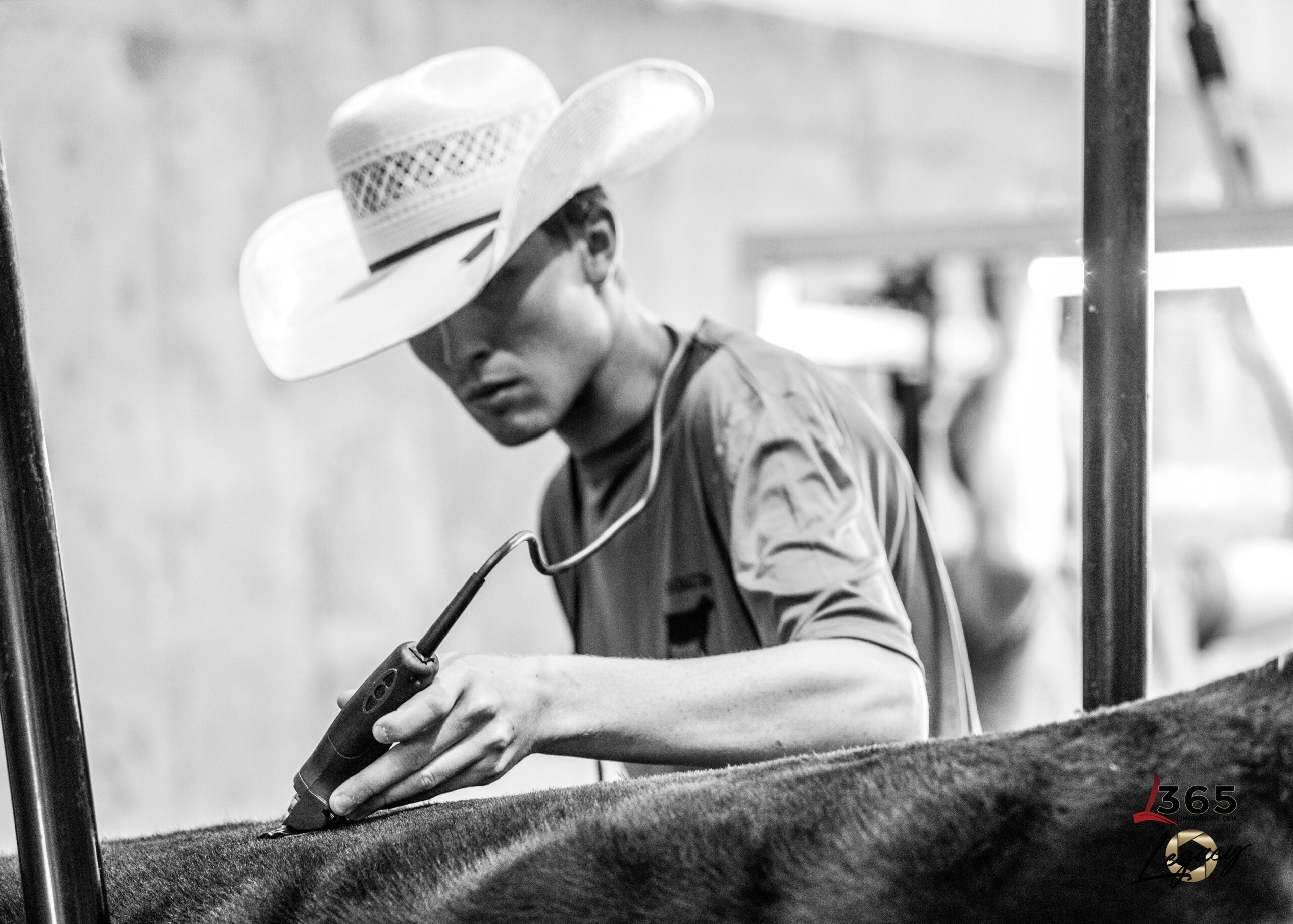 A group of people wearing cowboy hats and jeans sit on hay bales at an indoor event, smiling and tossing items into the crowd. Some wear matching shirts with a red heart and the text NALA.