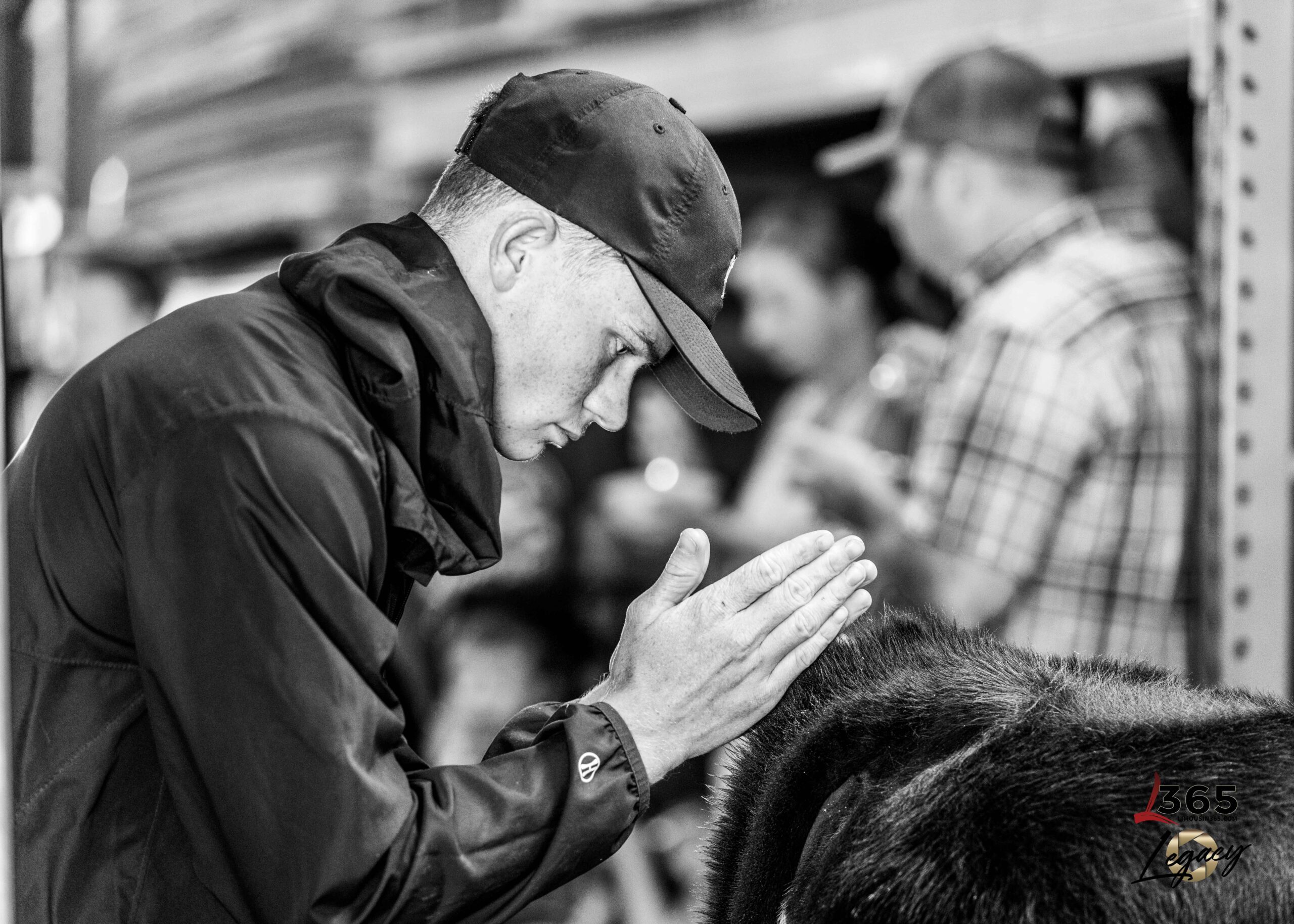 A young man in a cap and jacket gently touches a black animal, possibly a cow, with both hands. The background shows blurred people, likely at an indoor event or livestock show. The image is in black and white.
