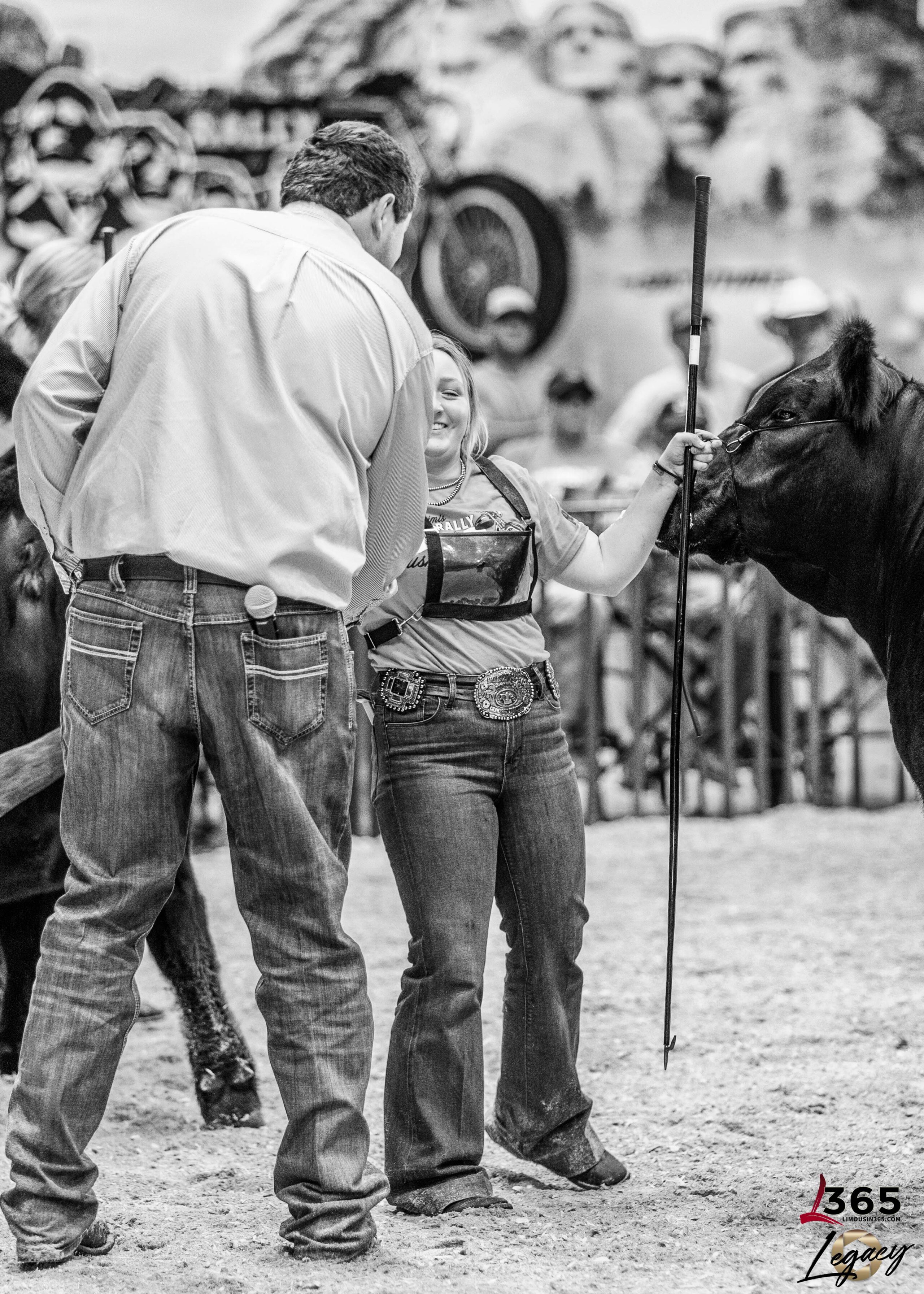 A young woman in jeans and a belt buckle stands with a cow in a show ring, smiling at a tall man. There are blurred spectators and a mural of Mount Rushmore in the background. The scene is in black and white.