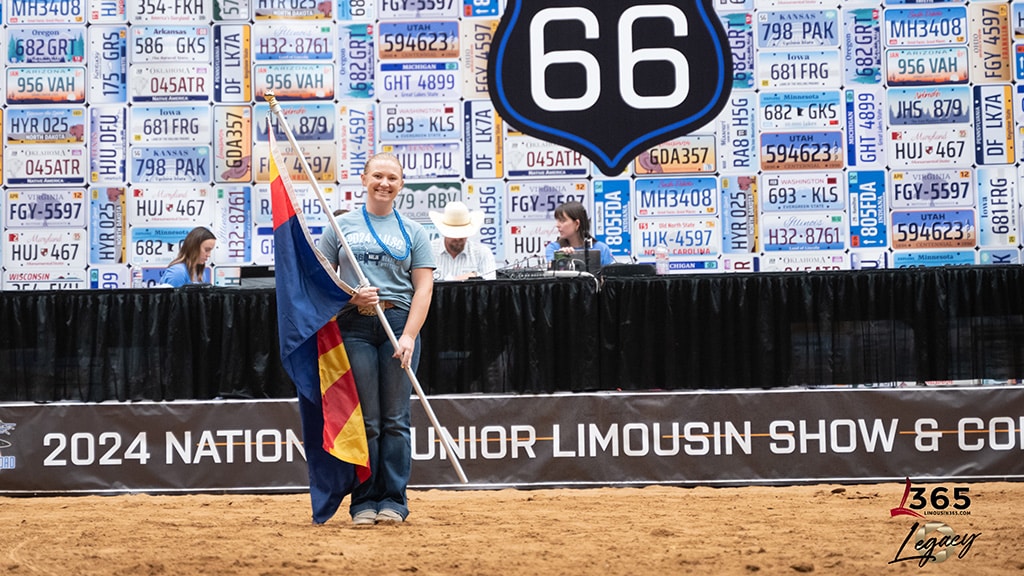 A young person stands on an arena floor holding the Colorado state flag. Behind them is a large display of license plates and a sign with the number 66, along with a banner for the 2024 National Junior Limousin Show & Congress.