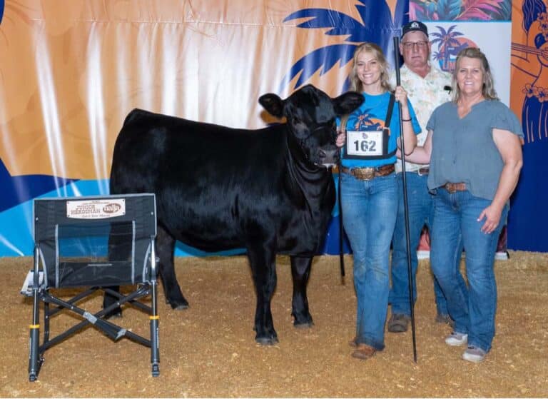 Four people stand with a black cow at a livestock show; one young woman holds the cow’s lead and a plaque marked 162. A branded chair and a colorful backdrop are visible behind them.