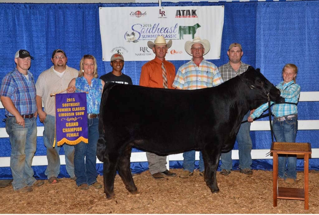 A group of eight people stands behind a black cow inside a show ring. One person holds a banner reading 2015 Southeast Summer Classic Limousin Show Grand Champion Female. Blue curtains and sponsor logos are in the background.