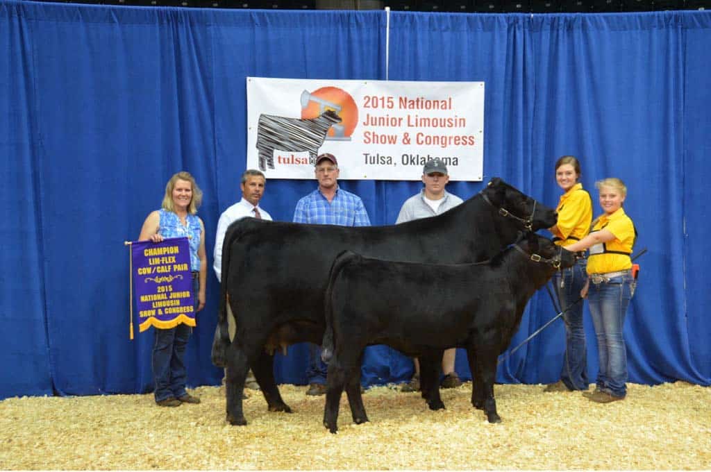 Seven people stand behind two black cattle at the 2015 National Junior Limousin Show & Congress in Tulsa, Oklahoma. One woman holds a champion banner; a blue curtain and event sign are in the background.