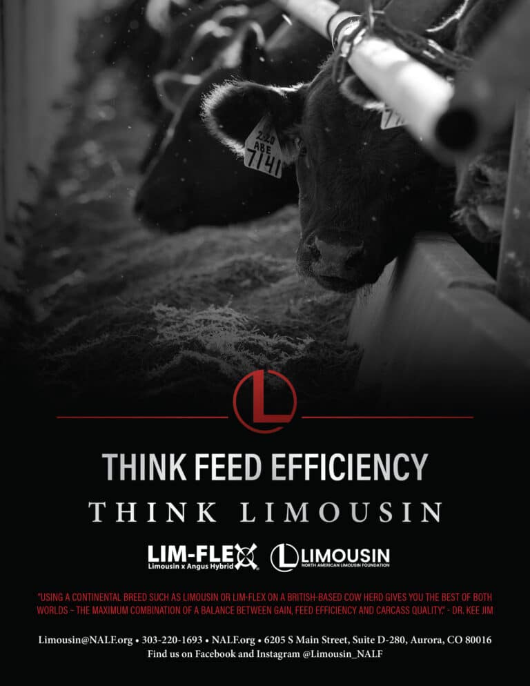 A black and white ad features cows eating from troughs, with the Limousin logo and text promoting feed efficiency and beef breeds. Contact info and social media details appear at the bottom.