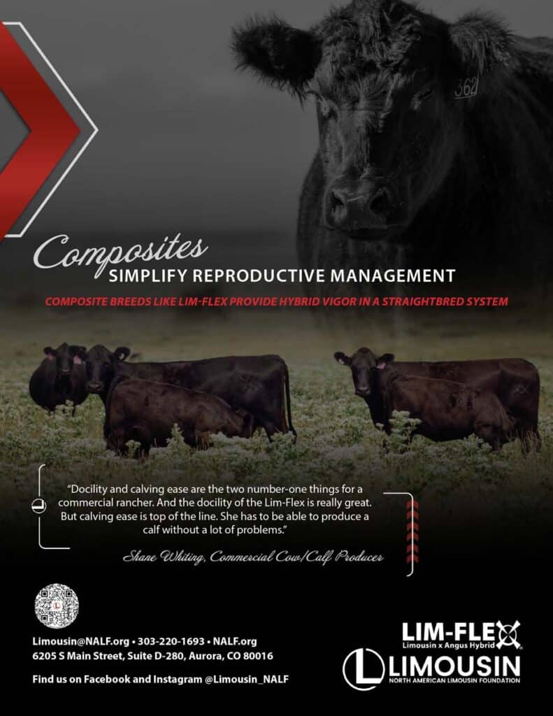 A black bull and several calves stand in a field with a dark background. Text promotes Lim-Flex composite cattle for reproductive management. Logos and contact details for Limousin breeders are at the bottom.