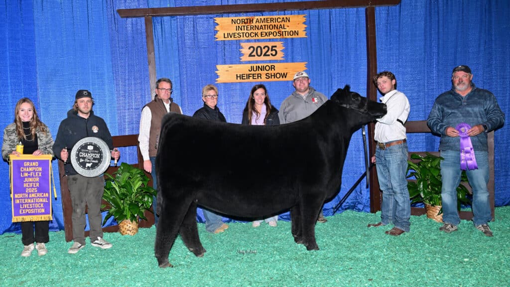A group of people poses with a black heifer at the 2025 North American International Livestock Exposition Junior Heifer Show. They stand in front of a blue curtain with event signs; one person holds a trophy and another holds a purple ribbon.