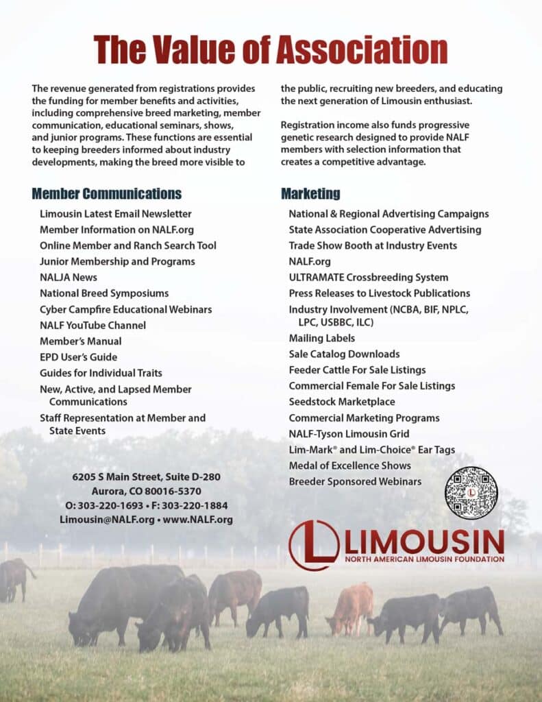 A flyer titled The Value of Association lists member communications, marketing, and contact information for the North American Limousin Foundation, with cattle and a Limousin logo at the bottom.