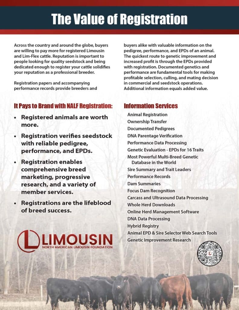 An informational flyer titled “The Value of Registration” explains the benefits of registering Limousin and Lim-Flex cattle, listing key points and services provided by the North American Limousin Foundation.