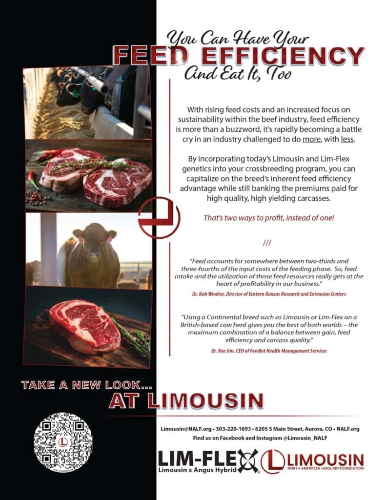 A magazine ad promoting Limousin and Lim-Flex cattle, highlighting feed efficiency benefits. The ad features images of raw beef steaks, Limousin cattle, and a steak dish, with red and black text on a white background.