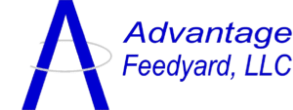 Logo for Advantage Feedyard, LLC, featuring a large blue letter A with a faint grey oval circling it, and the company name in blue text to the right of the letter.