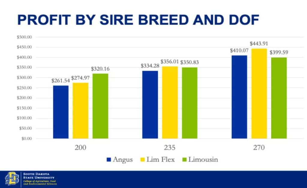 Bar chart showing profit by sire breed (Angus, Lim Flex, Limousin) and days on feed (200, 235, 270), with profits increasing for all breeds as days increase. Angus has the highest profit at each time point.