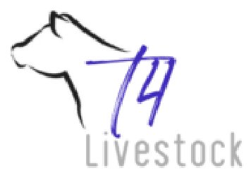 A simple logo featuring an outline of a cows head with T4 in blue stylized text and the word Livestock in gray below.