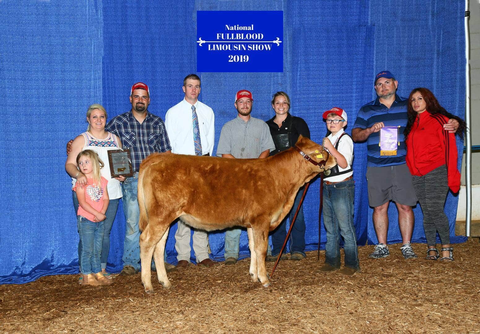 A group of people pose with a young cow at the 2019 National Fullblood Limousin Show. Some hold plaques and awards, and all stand on wood shavings in front of a blue curtain with the event sign above.