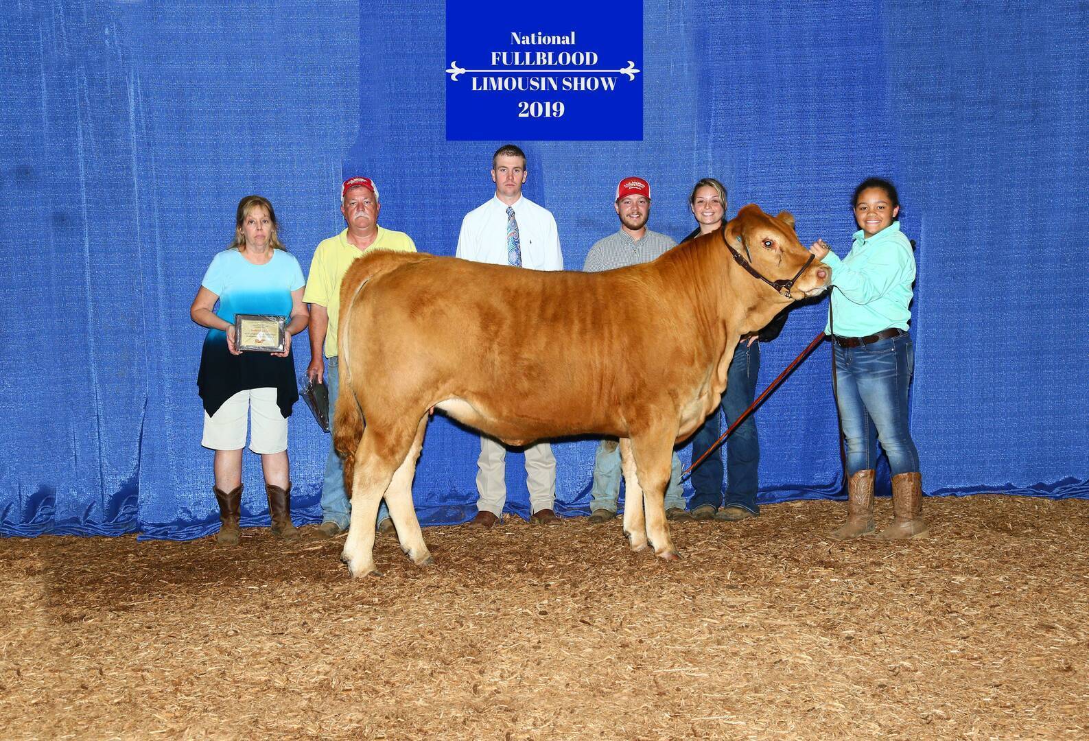 Six people pose with a light brown cow in front of a blue backdrop reading National Fullblood Limousin Show 2019. The group includes three women and three men; one woman holds a plaque, and another holds the cow’s lead.