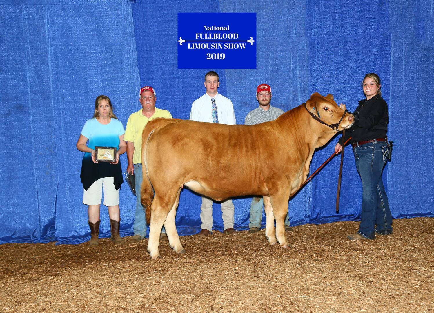 Five people pose with a tan cow in front of a blue curtain at the National Fullblood Limousin Show 2019. One woman holds a plaque, and another holds the cow by a lead rope.