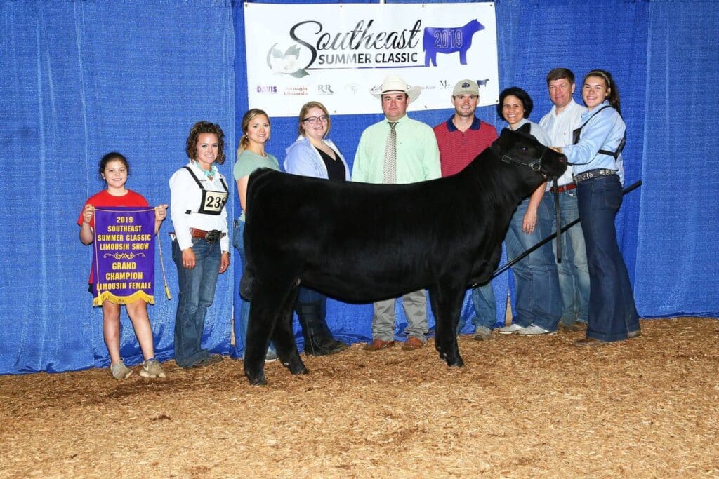 A group of people posing with a black cow at a livestock event. One girl holds a banner that reads 2019 Southeast Summer Classic Limousin Show Grand Champion Limousin Female. A show sign is displayed in the background.