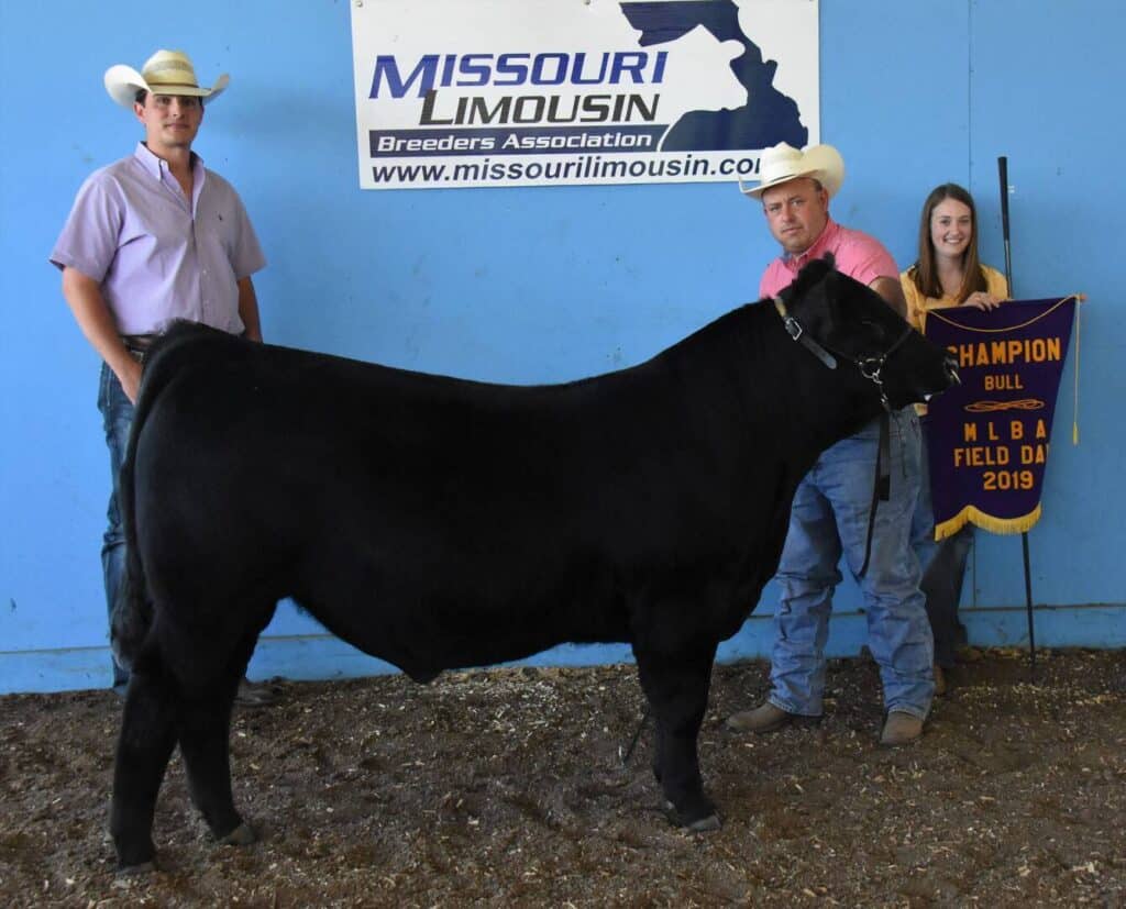Three people pose with a black bull in front of a blue wall, with a sign reading Missouri Limousin Breeders Association. One person holds a 2019 Champion Bull banner.