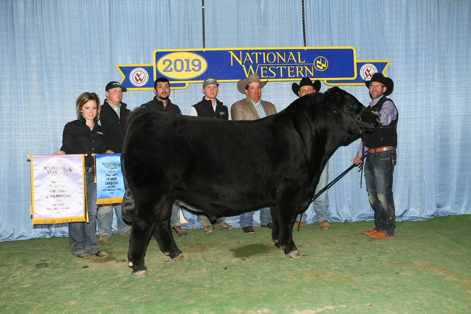 A group of people stand behind a large black bull at the 2019 National Western event. Two people hold award banners, and a blue curtain with the event logo serves as the background.