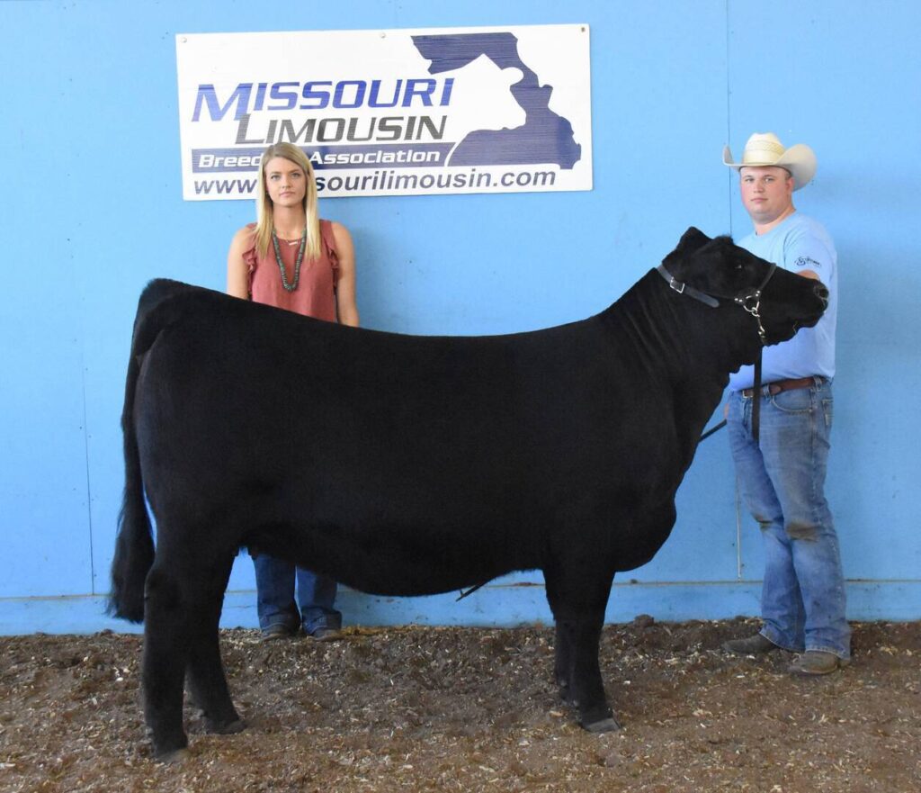 A woman and a man in western attire stand with a black cow at a livestock show. Behind them is a blue wall with a Missouri Limousin Breeders Association sign.