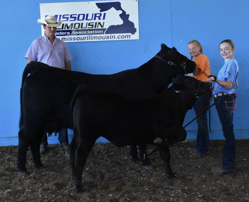 Two young people stand smiling with two black cattle in front of a blue wall and a “Missouri Limousin Breeders Association” sign, while a man in a cowboy hat stands nearby.