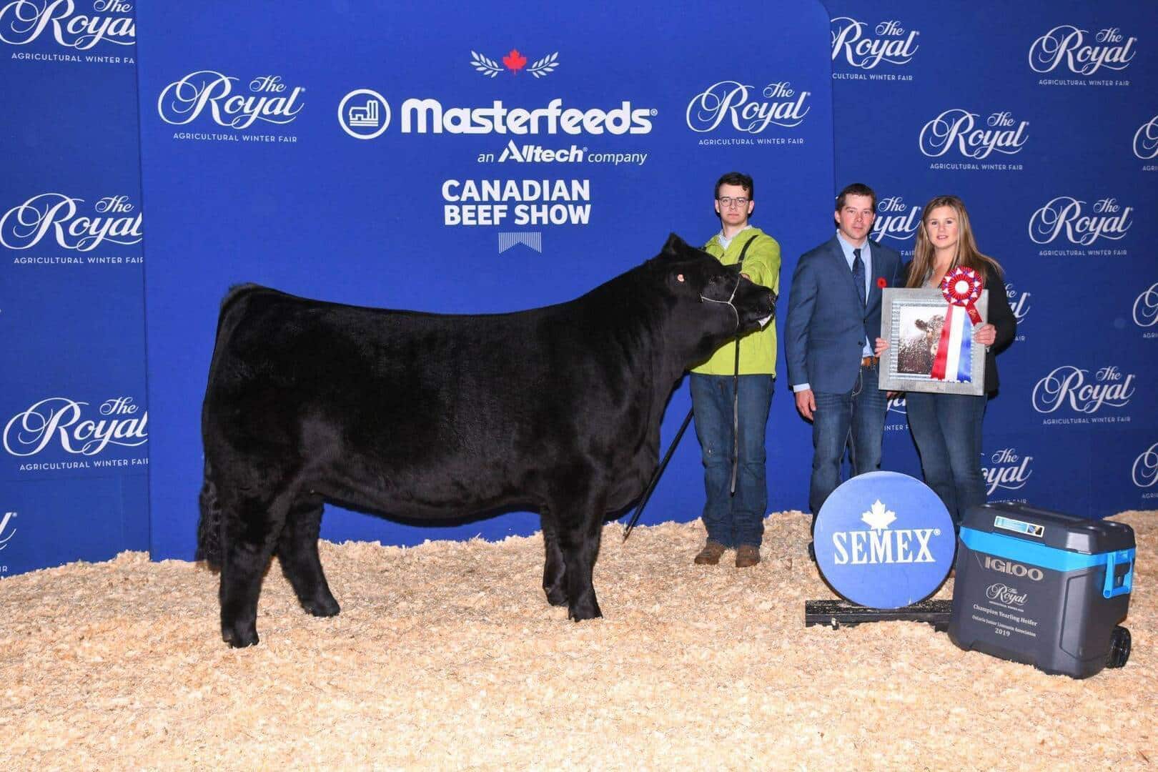 Four people pose with a black cow at the Royal Agricultural Winter Fair’s Canadian Beef Show. They hold ribbons and awards in front of a blue backdrop featuring event sponsors and logos.