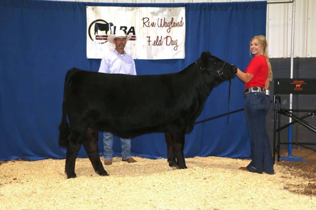 A young woman in a red shirt holds the lead of a black cow at an indoor livestock show, while a man in a white shirt and cowboy hat stands behind them. A banner reads Run Maryland Field Day.