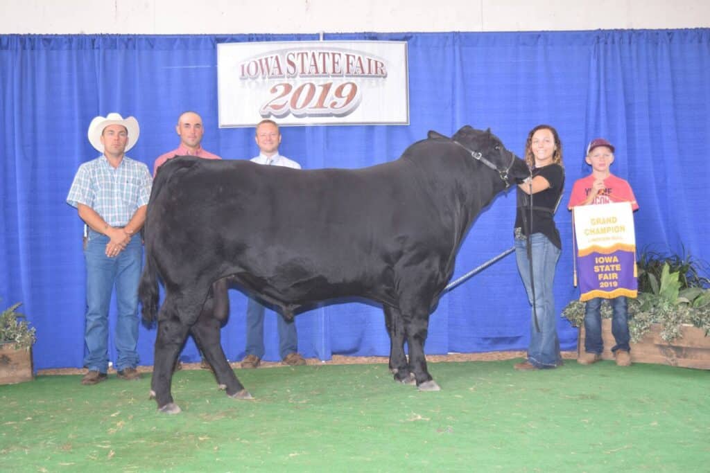 Five people stand behind a large black cow at the Iowa State Fair 2019. A blue curtain and a Grand Champion banner are in the background. One child holds the cow’s lead and the banner.