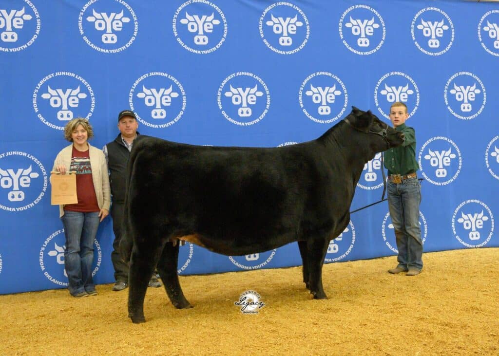 Three people pose with a large black cow in front of a blue backdrop with repeated logos. One person holds a certificate, another stands beside them, and a third person holds the cow’s lead. The ground is covered in sawdust.