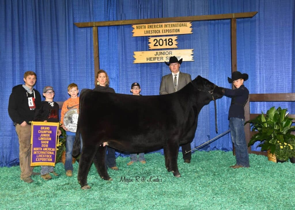 A group of people, including children and adults, stand around a black heifer in front of a blue curtain backdrop. A sign above reads “2018 Junior Heifer Show, North American International Livestock Exposition.”.