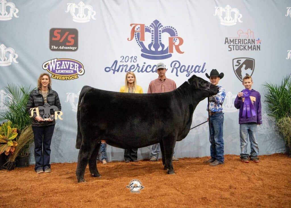 A group of five people pose with a black cow at the 2018 American Royal event, standing on red dirt in front of a backdrop with various livestock and sponsor logos. One person holds a trophy.
