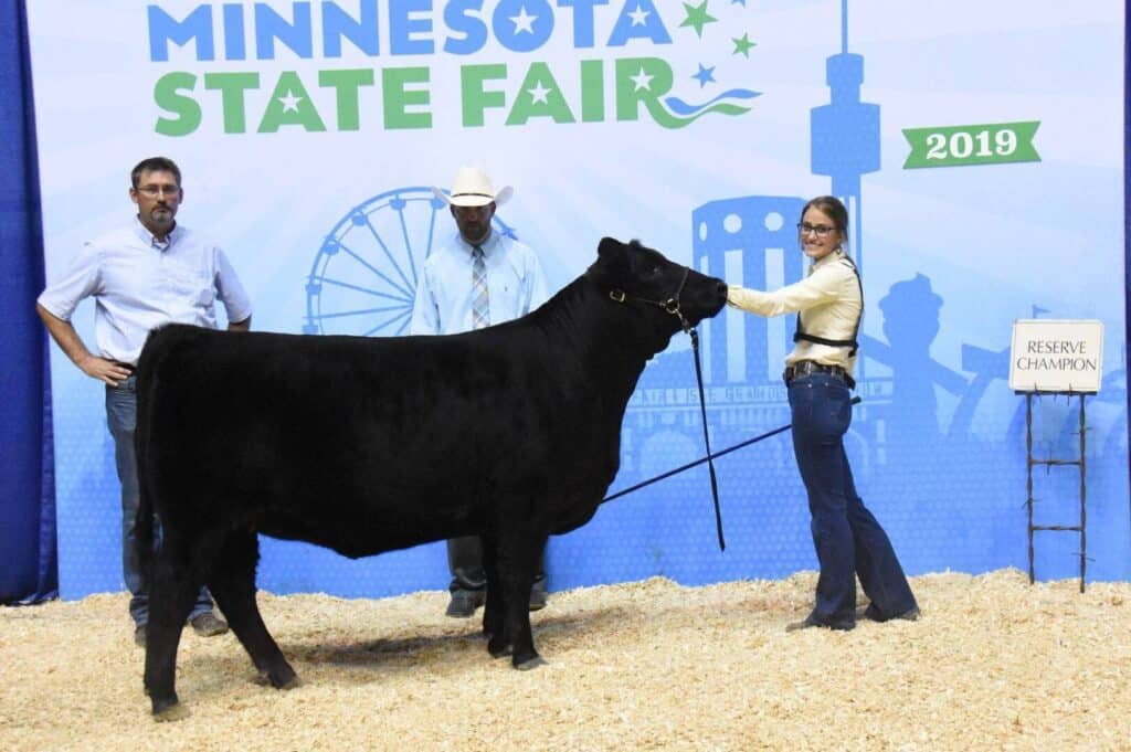 Three people stand with a black cow at the Minnesota State Fair, 2019. A woman holds the cows lead, while two men stand nearby. A sign next to them reads Reserve Champion. The background is blue with fair graphics.