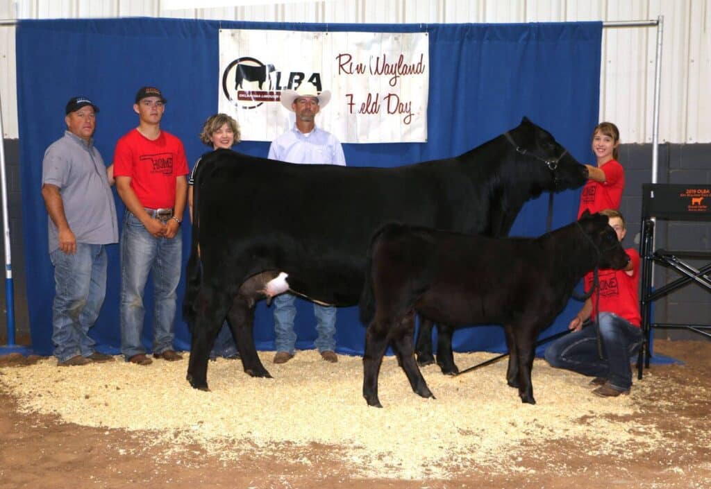 A group of people poses indoors with a black cow and a black calf in front of a blue backdrop and a banner that reads LBA Raw Wayland Field Day. Four people wear matching red shirts.