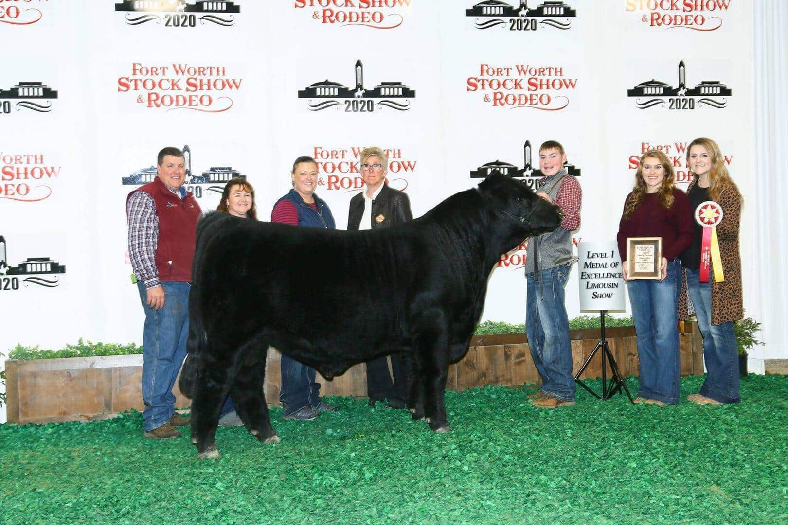 A group of six people pose with a prize-winning black steer at the Fort Worth Stock Show & Rodeo 2020. Two people hold awards, and the background displays event logos. Everyone is smiling and standing on green turf.