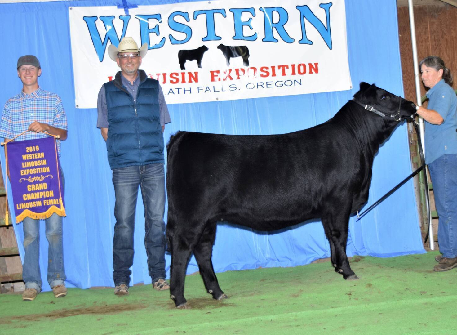 Three people stand with a black cow in front of a blue curtain and a Western Limousin Exposition Klamath Falls, Oregon sign. One person holds a 2019 Grand Champion Limousin Female banner.