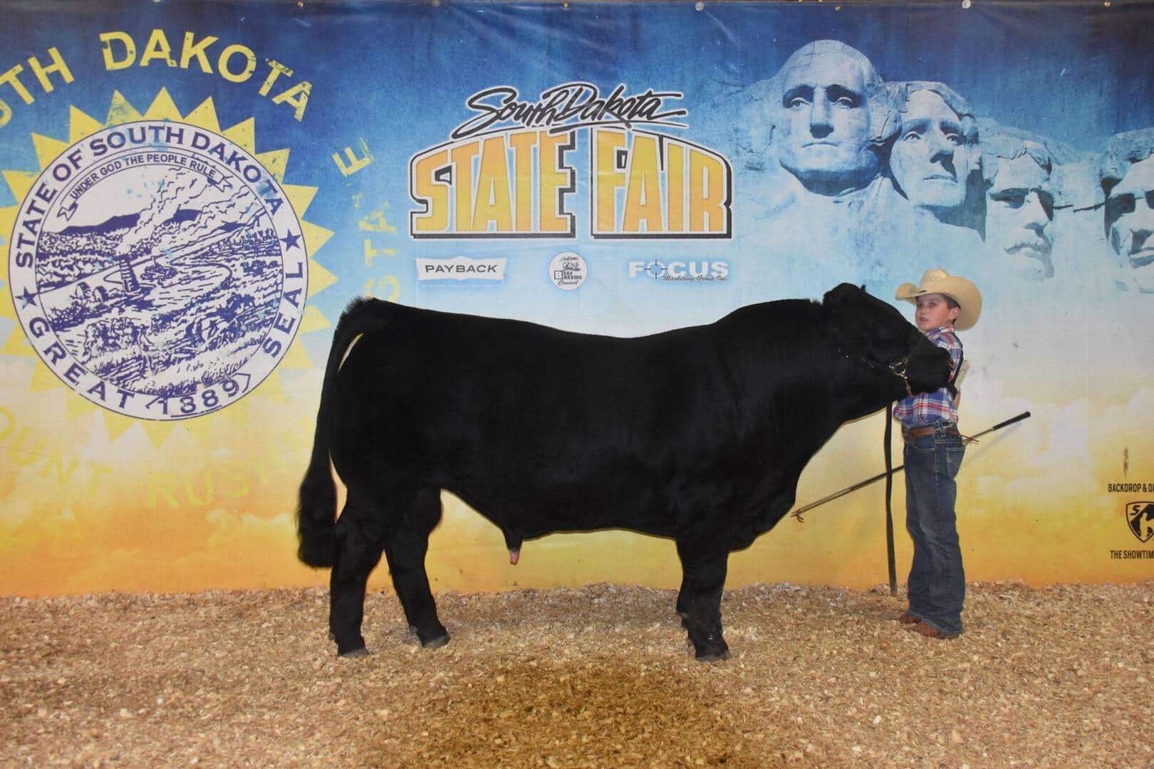A young person in a cowboy hat stands next to a large black cow at the South Dakota State Fair, posing for a photo in front of a blue and yellow backdrop with state and event logos.