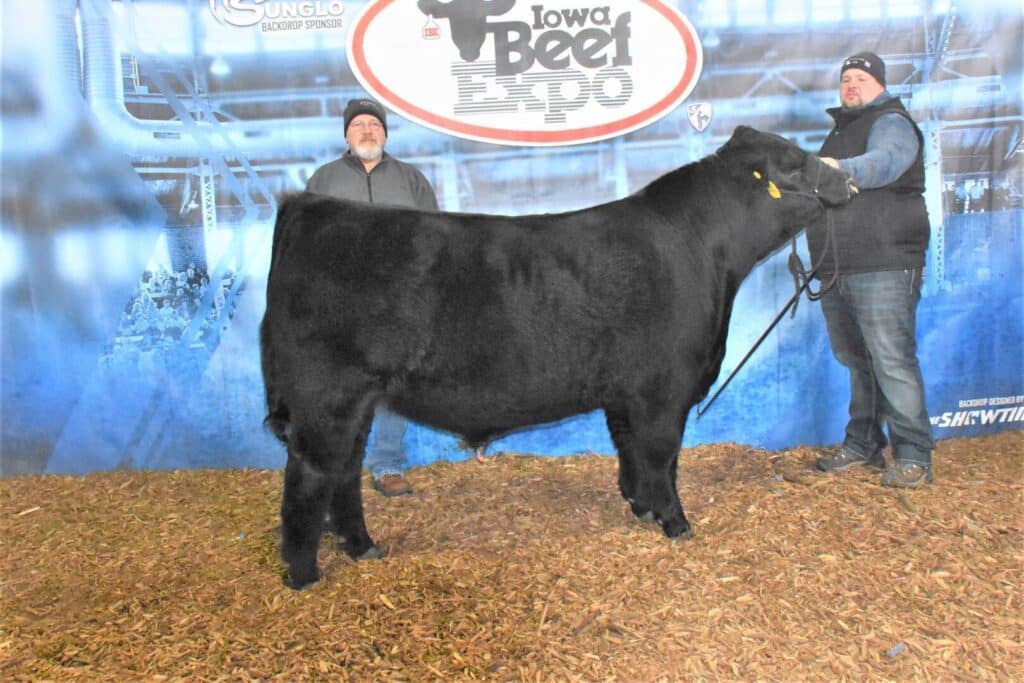 Two men stand with a black beef cow on wood shavings in front of a blue “Iowa Beef Expo” backdrop. One man holds the cow’s lead rope, and both are wearing winter clothes and hats.