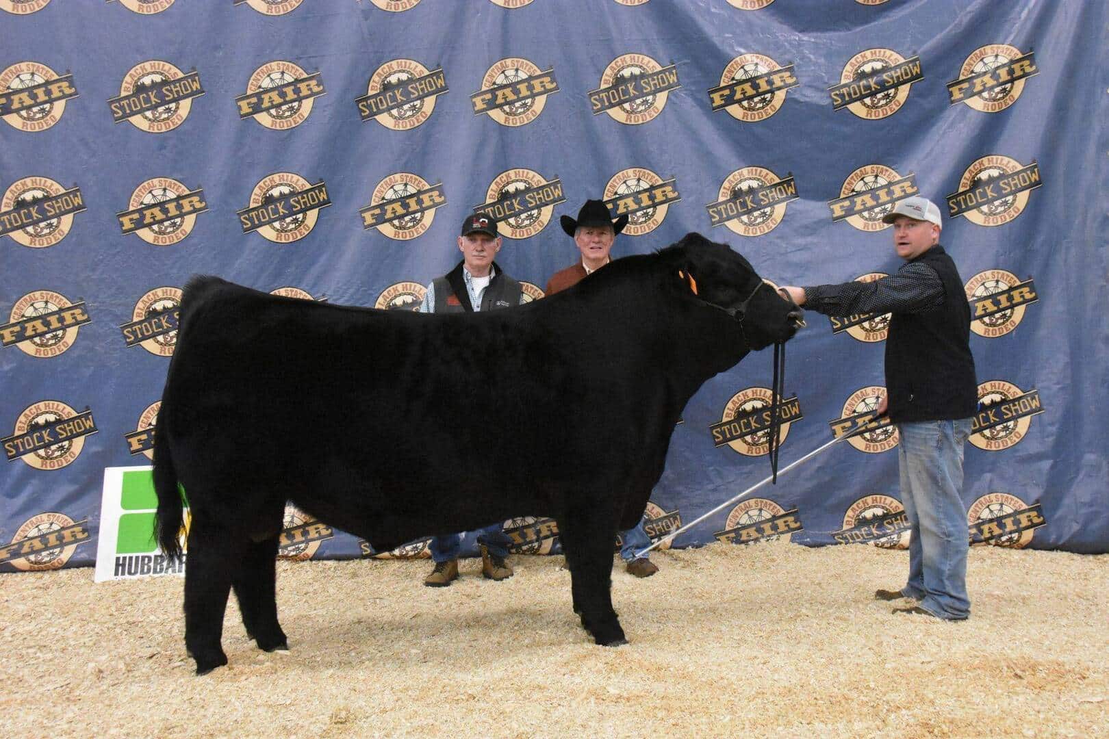Three men pose with a large black cow at a livestock show. The backdrop features repeated logos reading Stock Show and Fair. One man holds the cows halter, while the other two stand behind the animal.
