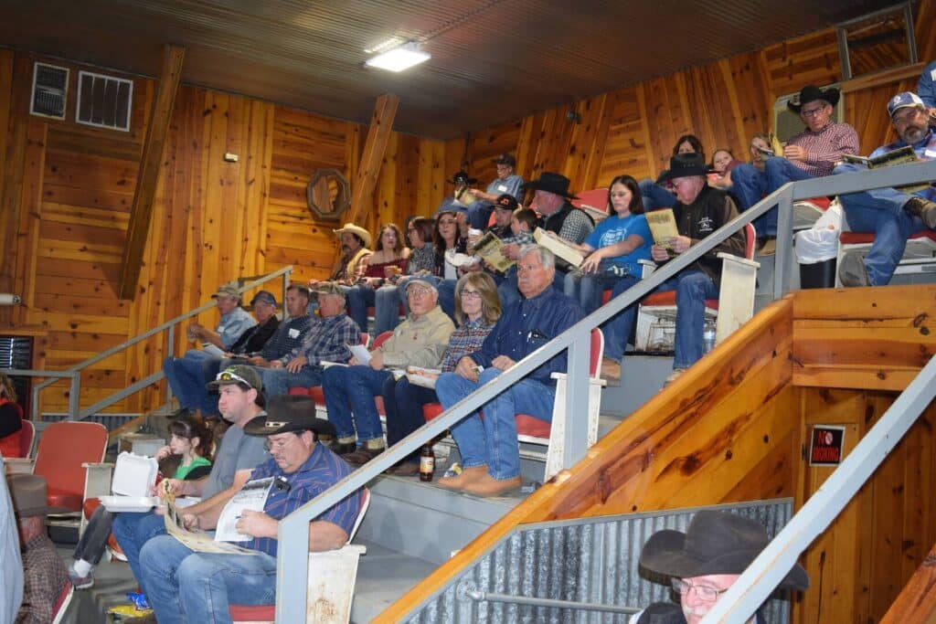 Spectators wearing cowboy hats and casual clothes sit on wooden bleachers inside a rustic arena, attentively watching an event, some holding papers or food containers. The setting features wooden walls and metal railings.